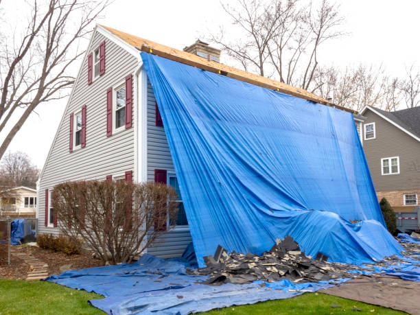 Best Demolition Debris Removal  in Halls, TN