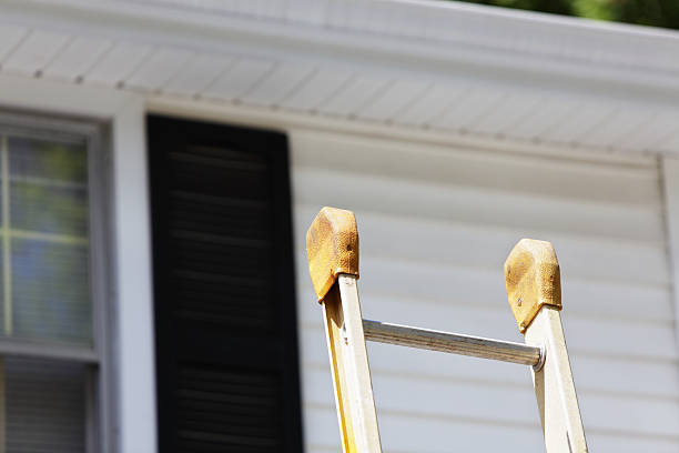 Professional Junk Removal in Halls, TN